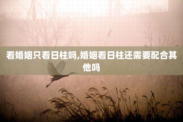 看婚姻只看日柱吗,婚姻看日柱还需要配合其他吗