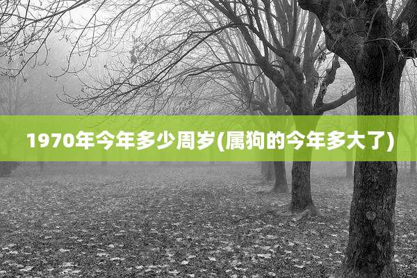 1970年今年多少周岁(属狗的今年多大了)
