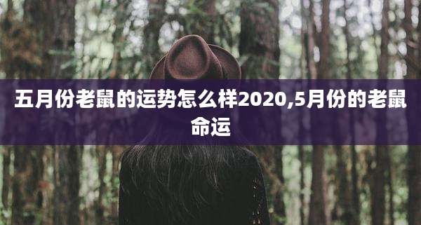 五月份老鼠的运势怎么样2020,5月份的老鼠命运
