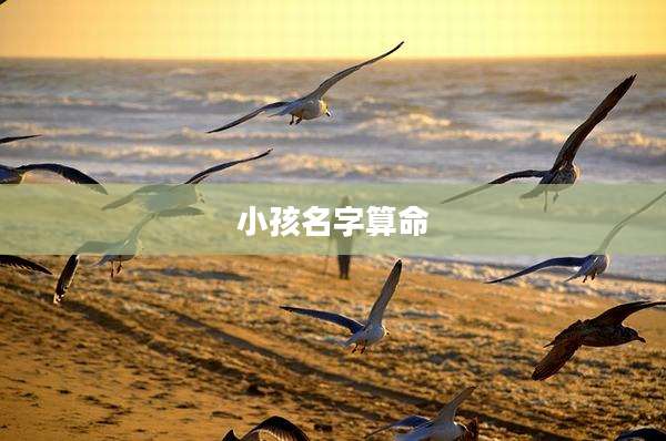 小孩名字算命