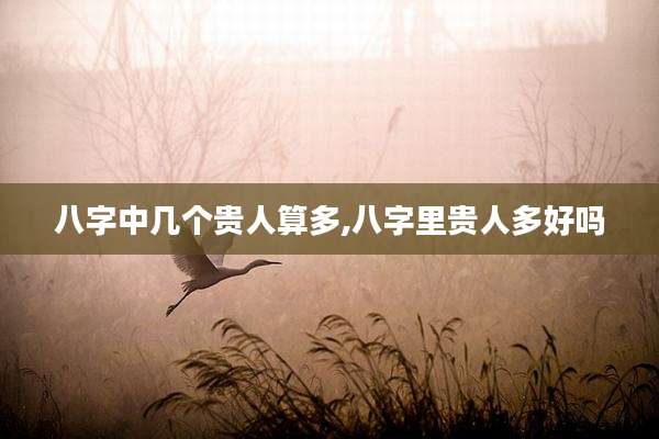 八字中几个贵人算多,八字里贵人多好吗