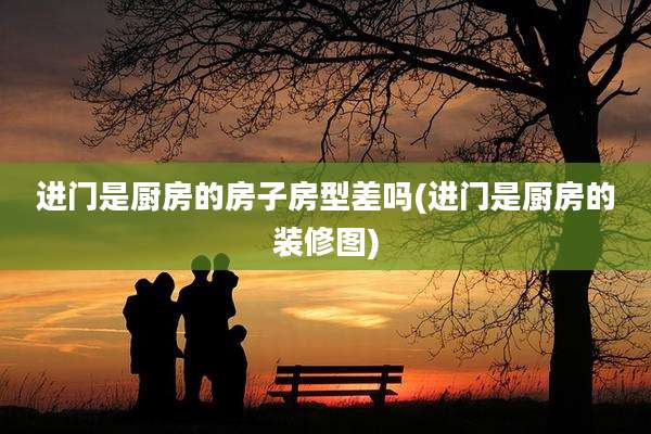 进门是厨房的房子房型差吗(进门是厨房的装修图)