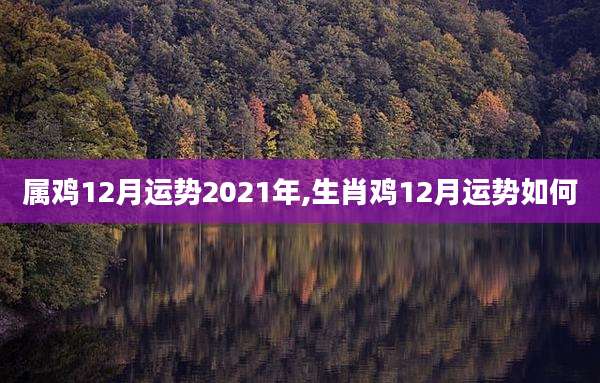 属鸡12月运势2021年,生肖鸡12月运势如何