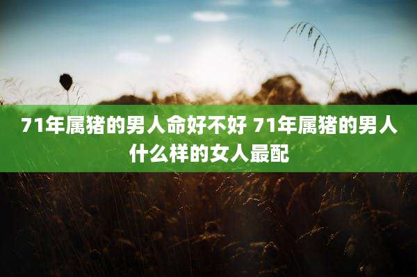 71年属猪的男人命好不好 71年属猪的男人什么样的女人最配
