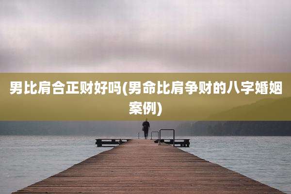 男比肩合正财好吗(男命比肩争财的八字婚姻案例)