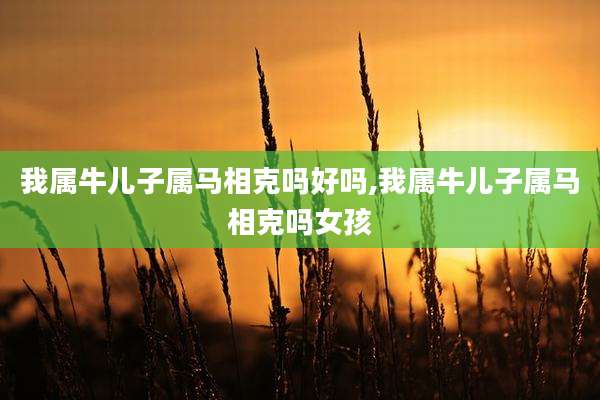 我属牛儿子属马相克吗好吗,我属牛儿子属马相克吗女孩