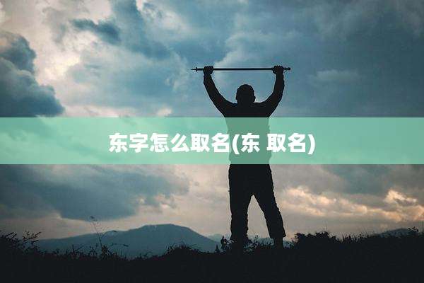 东字怎么取名(东 取名)