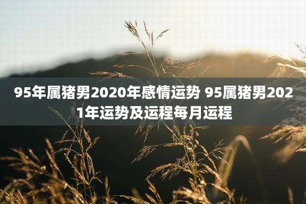 95年属猪男2020年感情运势 95属猪男2021年运势及运程每月运程