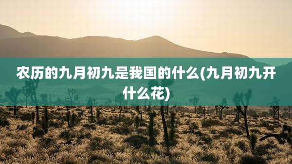农历的九月初九是我国的什么(九月初九开什么花)