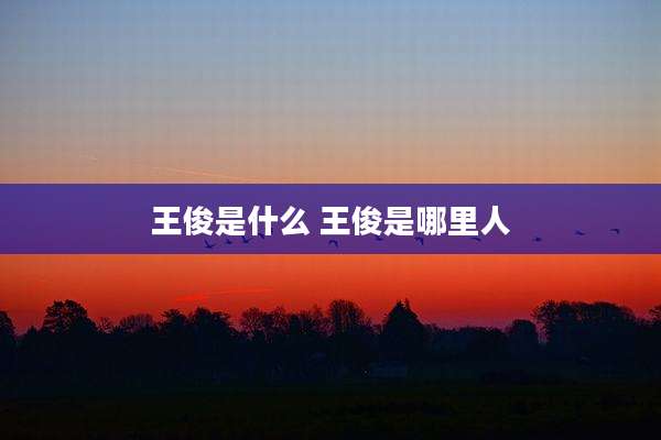 王俊是什么 王俊是哪里人