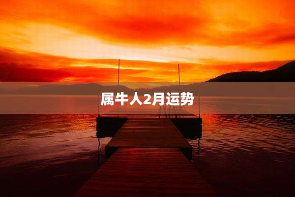 属牛人2月运势