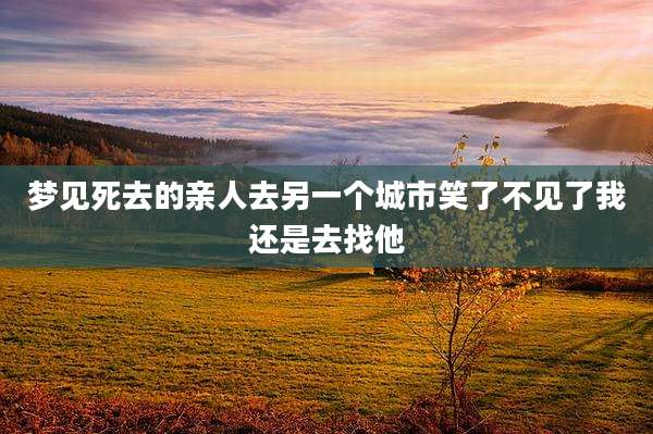 梦见死去的亲人去另一个城市笑了不见了我还是去找他