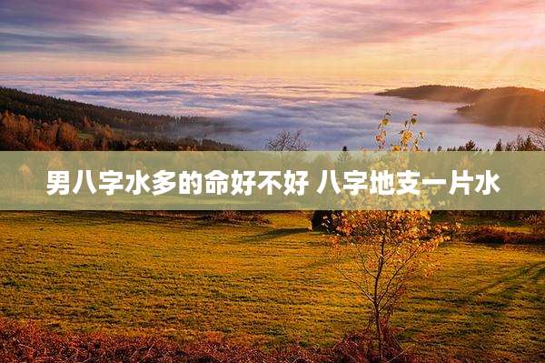 男八字水多的命好不好 八字地支一片水