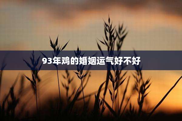 93年鸡的婚姻运气好不好