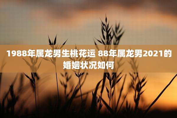 1988年属龙男生桃花运 88年属龙男2021的婚姻状况如何