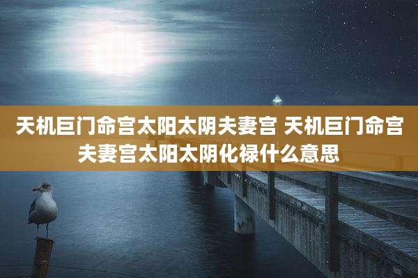 天机巨门命宫太阳太阴夫妻宫 天机巨门命宫夫妻宫太阳太阴化禄什么意思