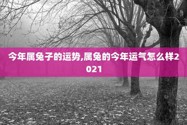 今年属兔子的运势,属兔的今年运气怎么样2021