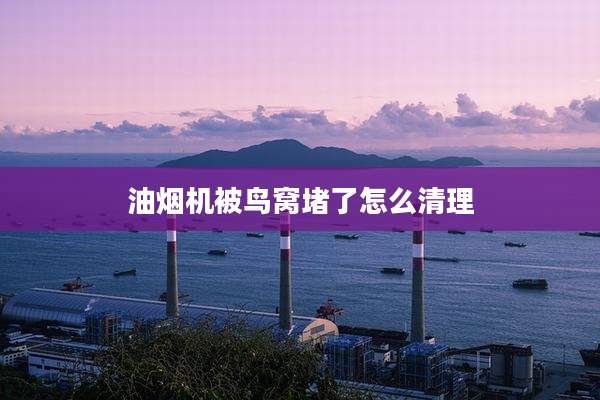 油烟机被鸟窝堵了怎么清理