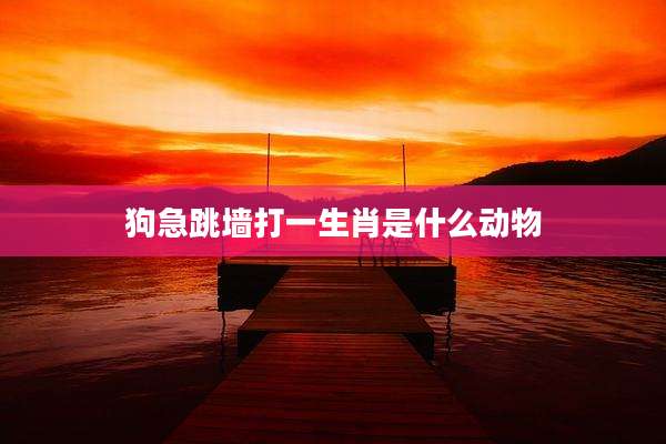 狗急跳墙打一生肖是什么动物