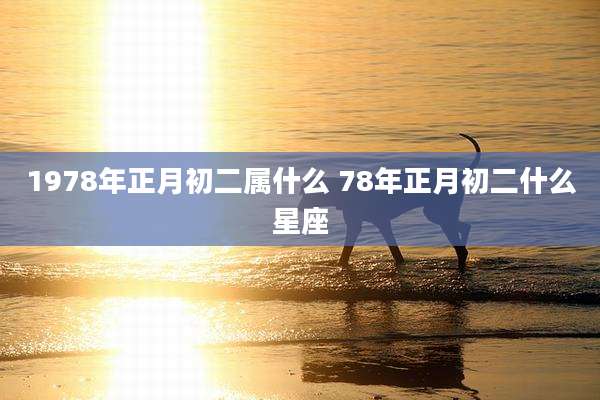1978年正月初二属什么 78年正月初二什么星座