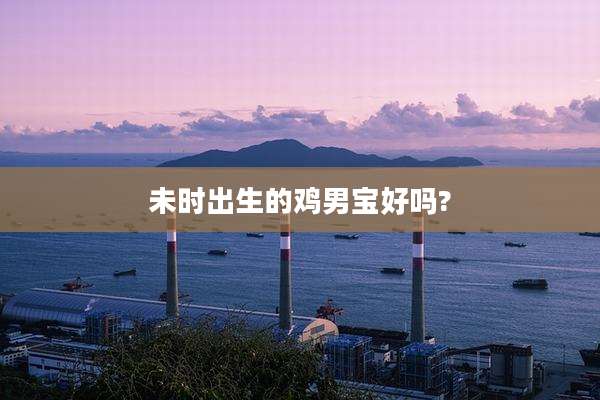 未时出生的鸡男宝好吗?