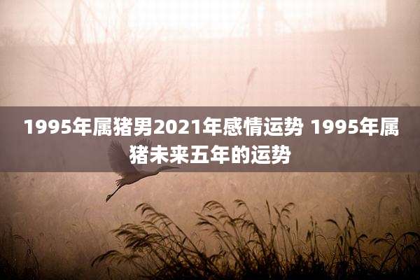 1995年属猪男2021年感情运势 1995年属猪未来五年的运势
