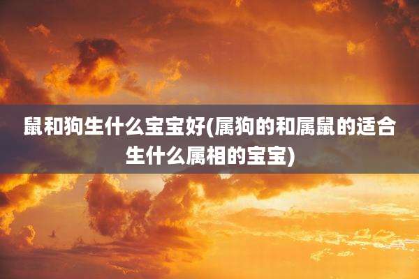 鼠和狗生什么宝宝好(属狗的和属鼠的适合生什么属相的宝宝)