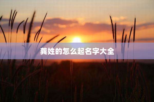 龚姓的怎么起名字大全