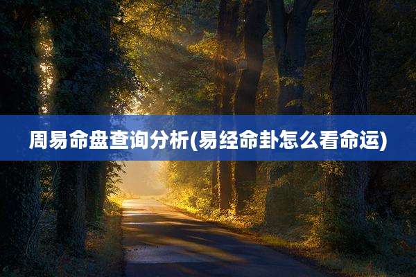 周易命盘查询分析(易经命卦怎么看命运)