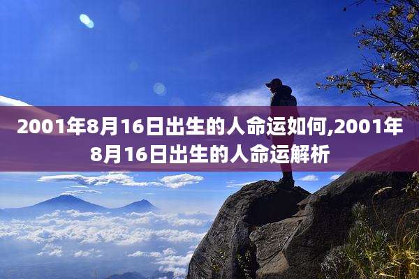 2001年8月16日出生的人命运如何,2001年8月16日出生的人命运解析