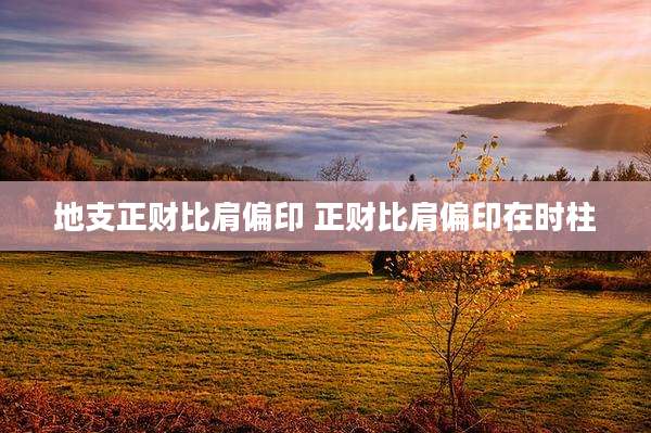 地支正财比肩偏印 正财比肩偏印在时柱