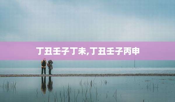 丁丑壬子丁未,丁丑壬子丙申