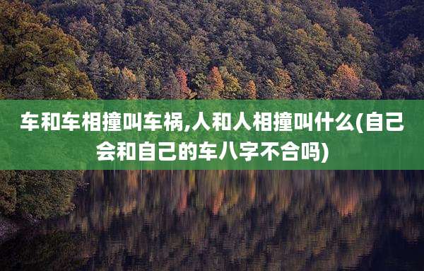车和车相撞叫车祸,人和人相撞叫什么(自己会和自己的车八字不合吗)