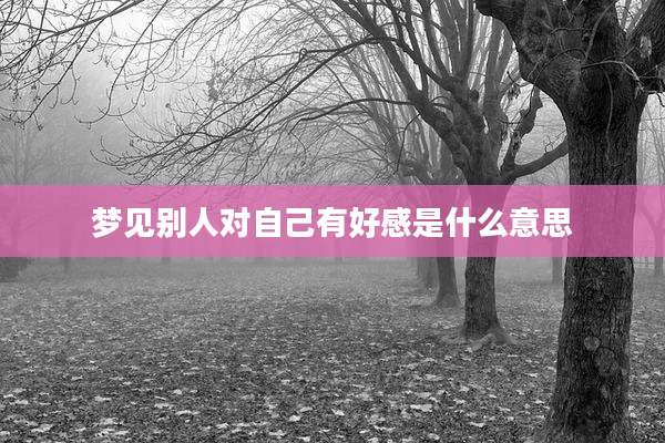 梦见别人对自己有好感是什么意思