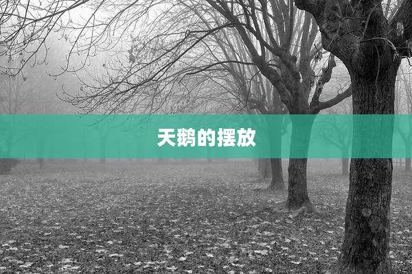 天鹅的摆放