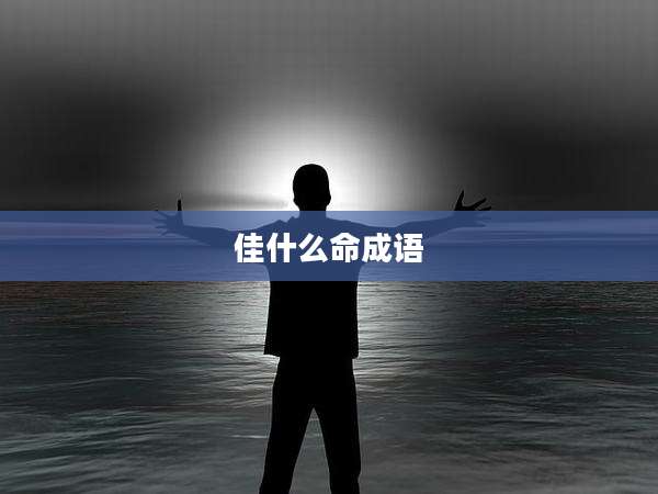佳什么命成语