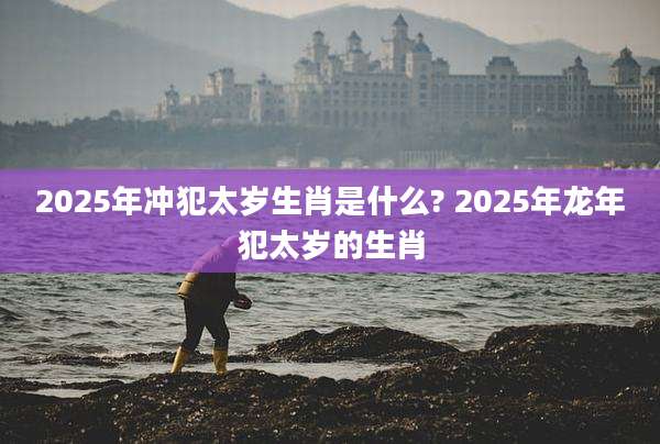 2025年冲犯太岁生肖是什么? 2025年龙年犯太岁的生肖