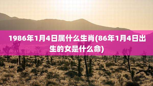 1986年1月4日属什么生肖(86年1月4日出生的女是什么命)