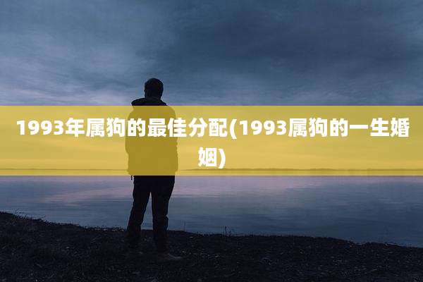 1993年属狗的最佳分配(1993属狗的一生婚姻)