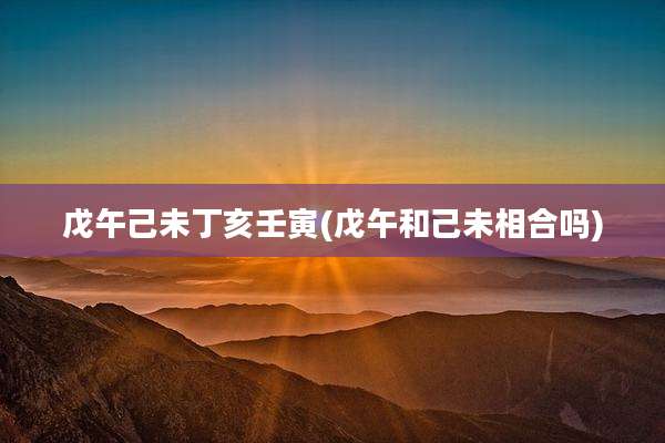 戊午己未丁亥壬寅(戊午和己未相合吗)