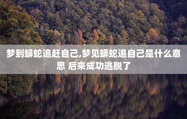 梦到蟒蛇追赶自己,梦见蟒蛇追自己是什么意思 后来成功逃脱了