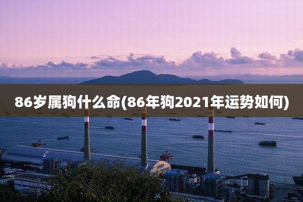 86岁属狗什么命(86年狗2021年运势如何)