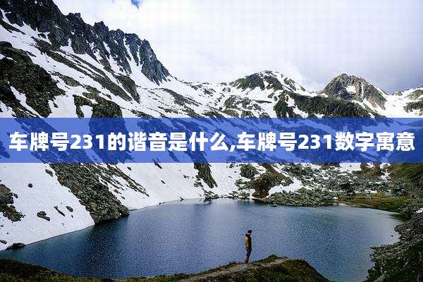 车牌号231的谐音是什么,车牌号231数字寓意