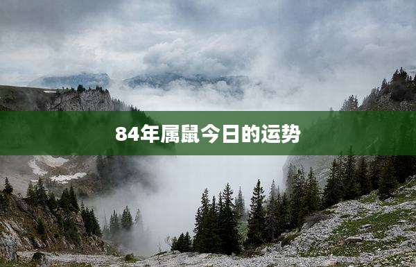 84年属鼠今日的运势