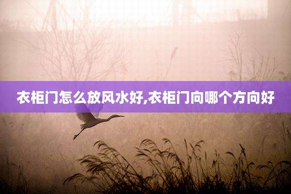 衣柜门怎么放风水好,衣柜门向哪个方向好
