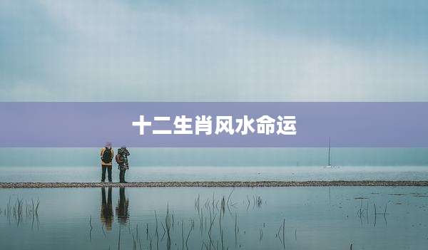 十二生肖风水命运