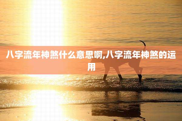 八字流年神煞什么意思啊,八字流年神煞的运用