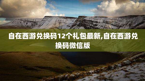 自在西游兑换码12个礼包最新,自在西游兑换码微信版