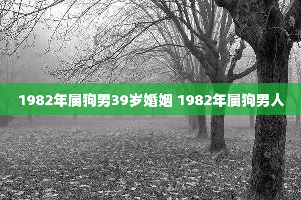 1982年属狗男39岁婚姻 1982年属狗男人