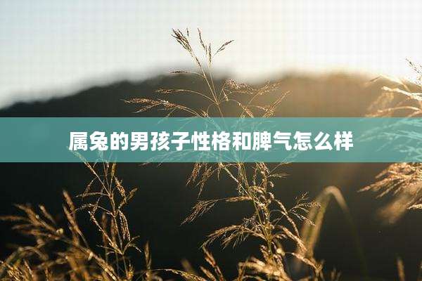 属兔的男孩子性格和脾气怎么样